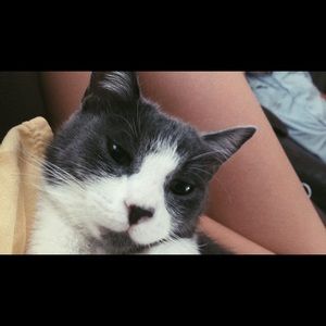 Meet your Posher, Leah